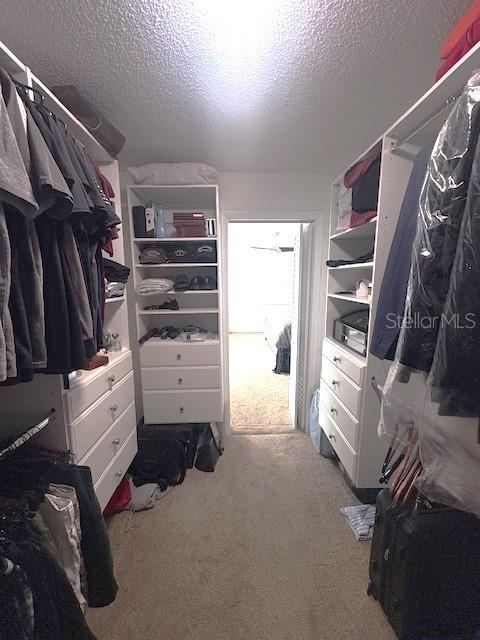 spacious closet featuring carpet floors