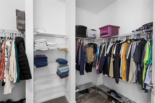 518 Briarbrook Way, Deland, FL 32724 - spacious closet featuring carpet floors