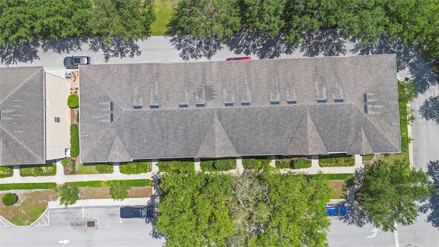 4297 Regal Town Ln, Lake Mary, FL 32746 - photo 48