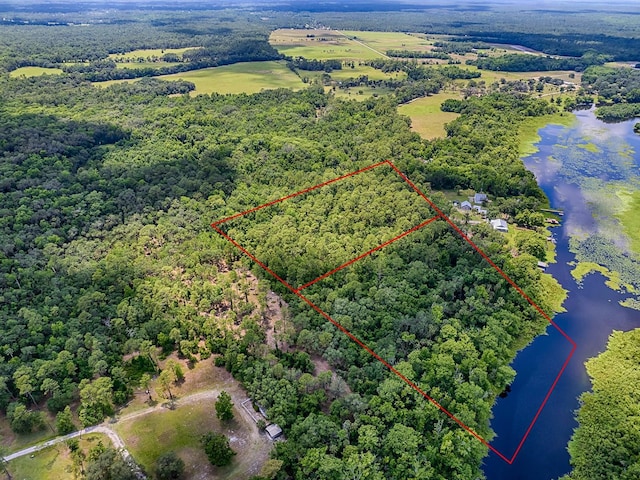 Tall Palm Fish Camp Rd, Deland, FL 32720 - photo 10