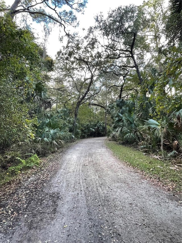 Tall Palm Fish Camp Rd, Deland, FL 32720 - photo 12
