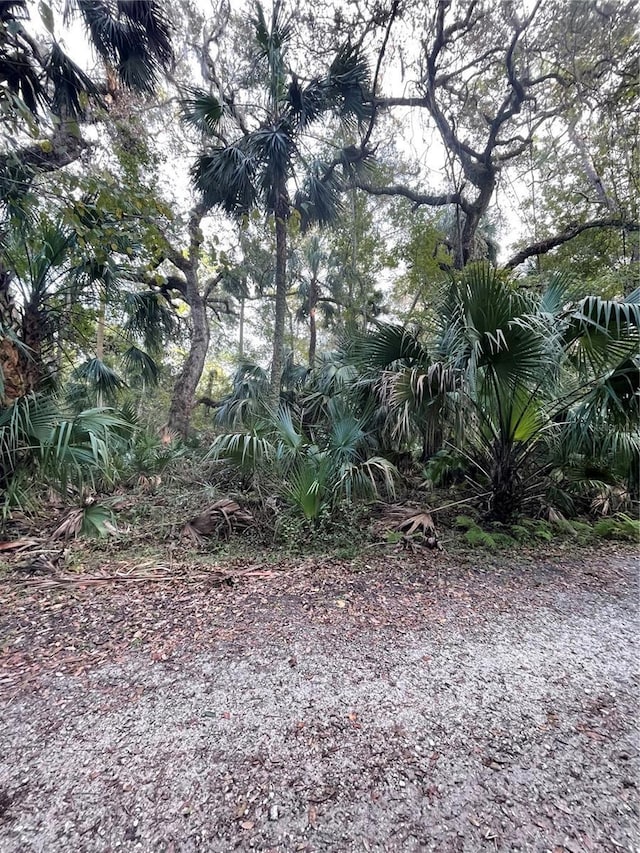 Tall Palm Fish Camp Rd, Deland, FL 32720 - photo 13