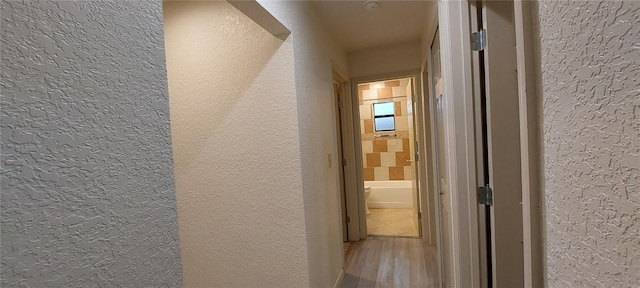 1621 Anniston Ave, Daytona Beach, FL 32117 - hall with a textured wall and wood finished floors