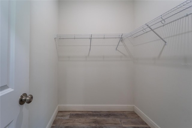 248 S Virginia Ave, Deland, FL 32724 - walk in closet with wood finished floors