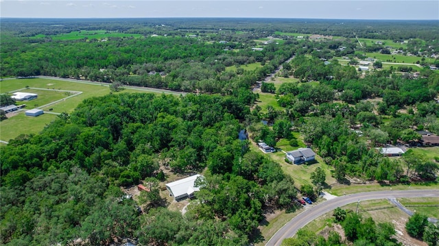 2953 Sled Rd, Christmas, FL 32709 - photo 43