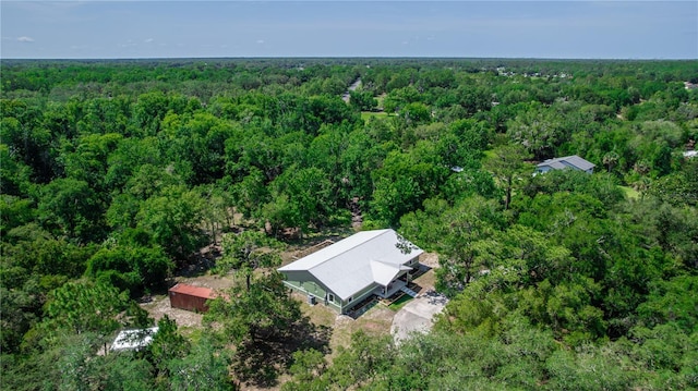 2953 Sled Rd, Christmas, FL 32709 - photo 48
