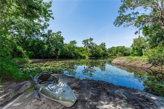 2953 Sled Rd, Christmas, FL 32709 - photo 49