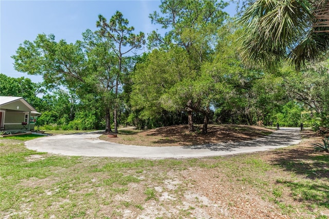 2953 Sled Rd, Christmas, FL 32709 - photo 53