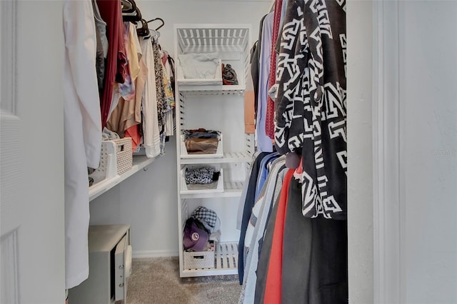 953 Tulip St, Deltona, FL 32725 - walk in closet featuring carpet