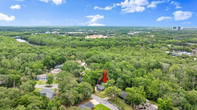 96 Hollow Branch Xing, Ormond Beach, FL 32174 - bird's eye view of a forest