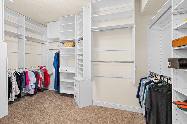 2901 S Atlantic Ave Unit 401, Daytona Beach Shores, FL 32118 - spacious closet with carpet flooring