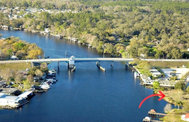 1570 Riveredge Ct, Astor, FL 32102