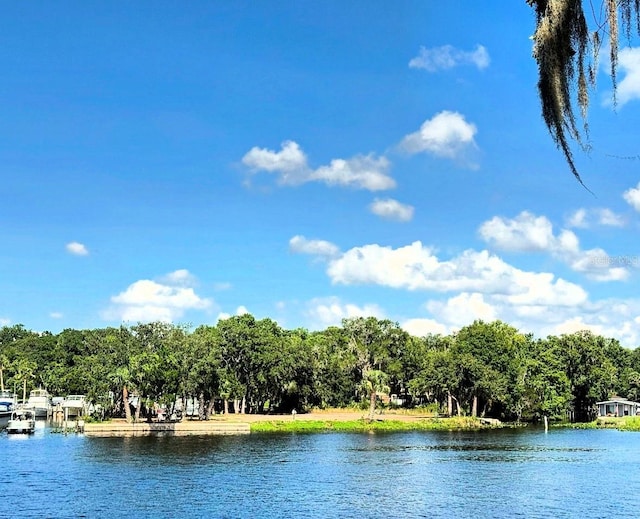 1570 Riveredge Ct, Astor, FL 32102
