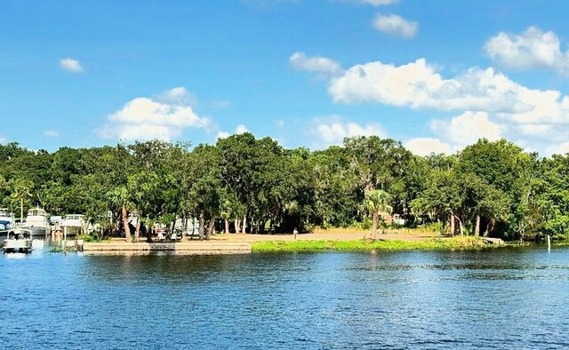 1570 Riveredge Ct, Astor, FL 32102