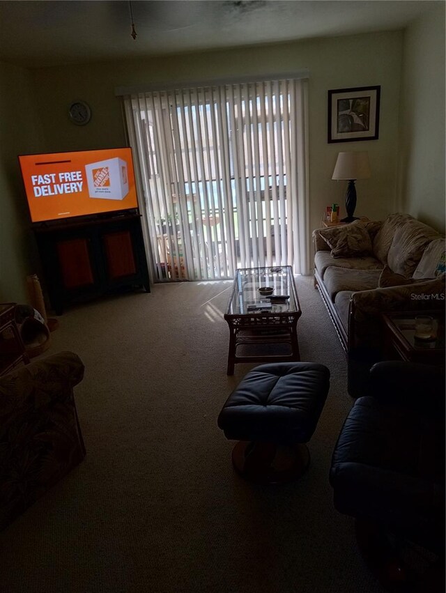 1640 Juno Trl Unit 103F, Astor, FL 32102 - view of carpeted living room