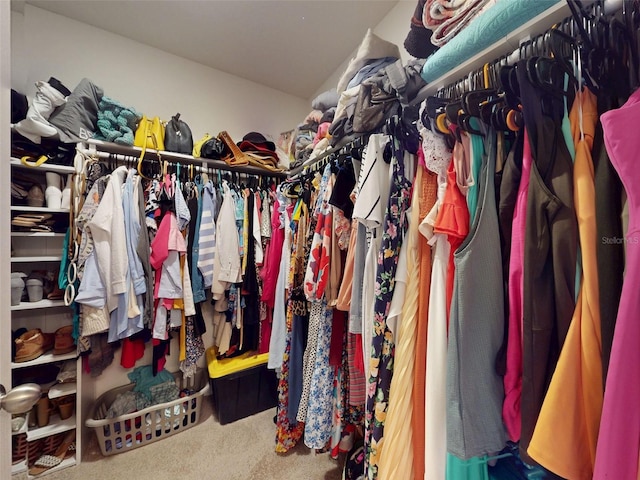 2919 Sime St, New Smyrna Beach, FL 32168 - walk in closet with carpet floors