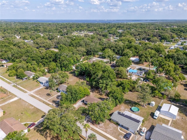 31 Lake Dr, Debary, FL 32713 - bird's eye view of a forest