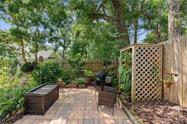 1637 Bent Oaks Blvd, Deland, FL 32724 - fenced backyard featuring a patio area and grilling area