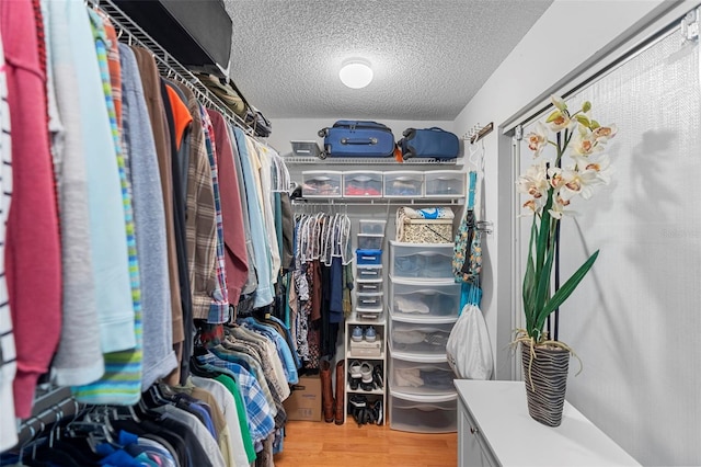 1637 Bent Oaks Blvd, Deland, FL 32724 - walk in closet featuring light wood-style floors