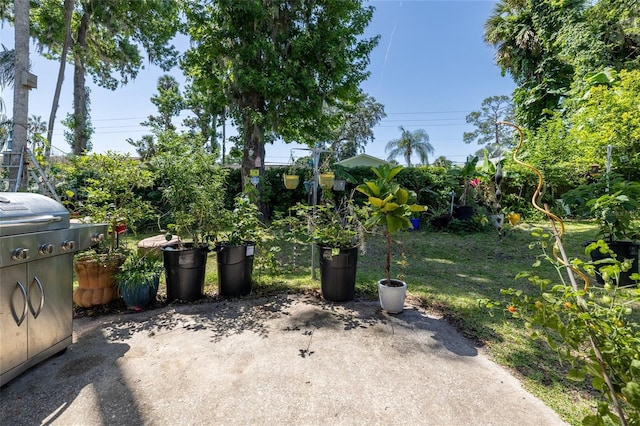5 Greenfern Cir, Ormond Beach, FL 32174 - view of patio