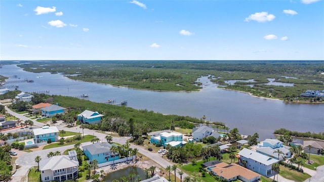 604 Springdale Dr, Flagler Beach, FL 32136 - drone / aerial view of a large body of water and a forest