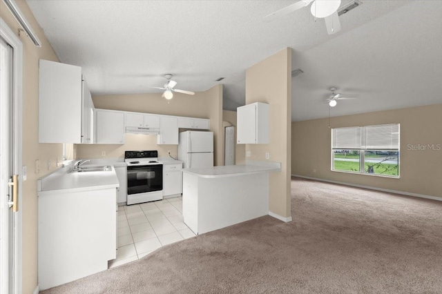2747 Date Palm Dr, Edgewater, FL 32141 - photo 9