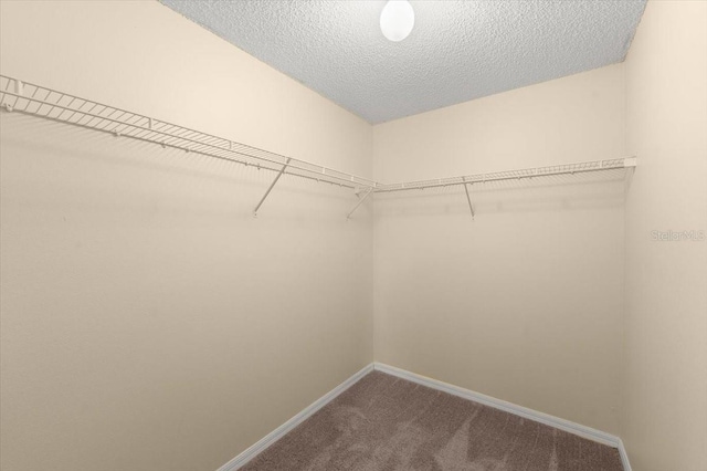 2747 Date Palm Dr, Edgewater, FL 32141 - photo 20