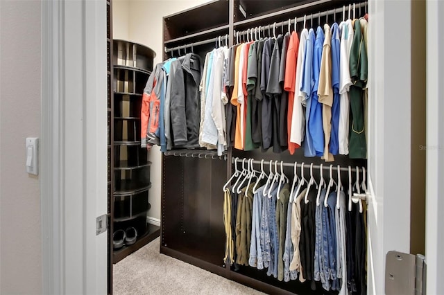 171 Birchmont Dr, Deland, FL 32724 - spacious closet featuring carpet flooring
