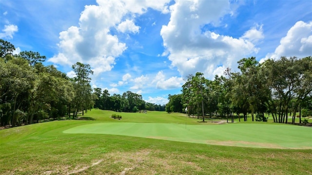 171 Birchmont Dr, Deland, FL 32724 - view of property's community with view of scattered trees, view of golf course, a yard, and a putting green