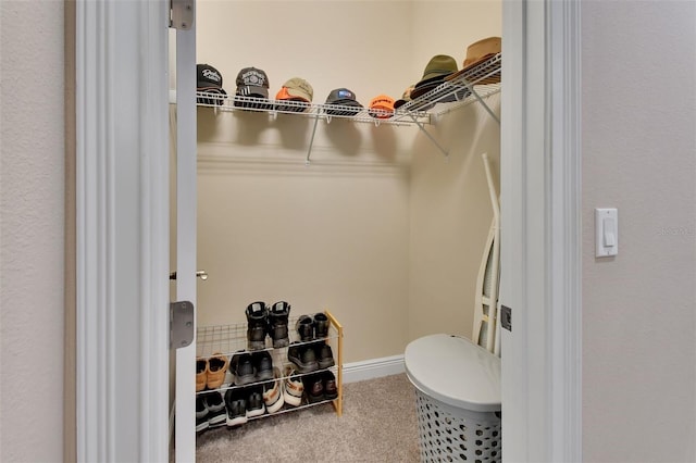 171 Birchmont Dr, Deland, FL 32724 - spacious closet with carpet flooring