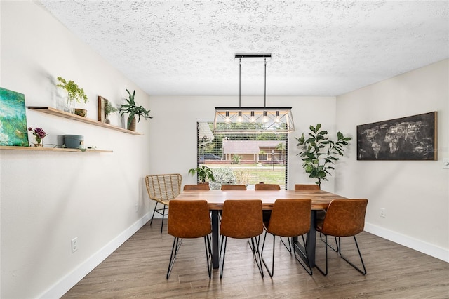 4301 Hudson Ln, Tampa, FL 33618 - dining space featuring wood finished floors, baseboards, and a textured ceiling