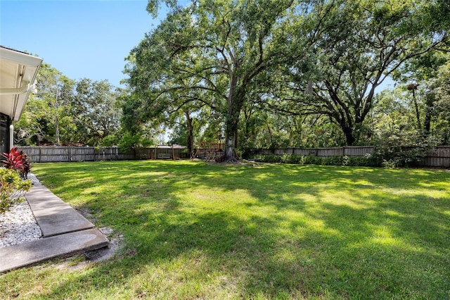 4301 Hudson Ln, Tampa, FL 33618 - view of yard