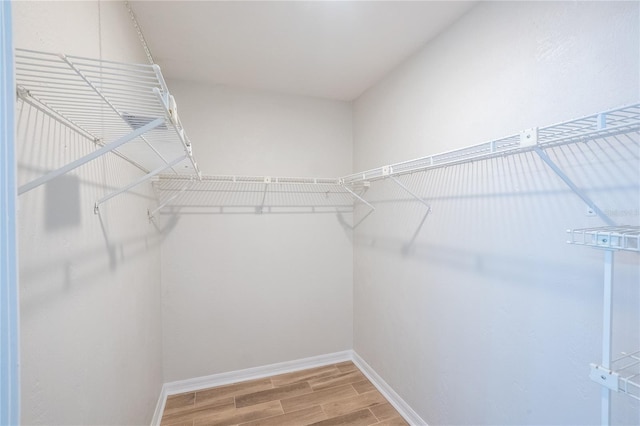 15 Misners Trl, Ormond Beach, FL 32174 - walk in closet featuring wood finished floors
