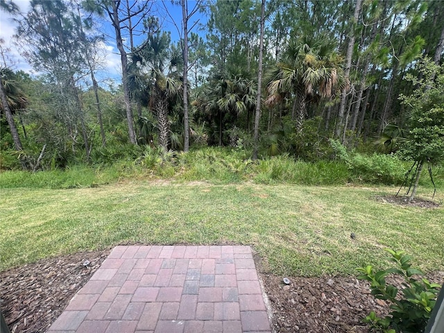 112 Lost Ball Dr, Daytona Beach, FL 32124 - view of green lawn with a patio area
