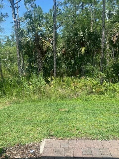 112 Lost Ball Dr, Daytona Beach, FL 32124 - view of yard