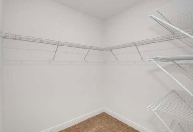 112 Lost Ball Dr, Daytona Beach, FL 32124 - spacious closet featuring carpet
