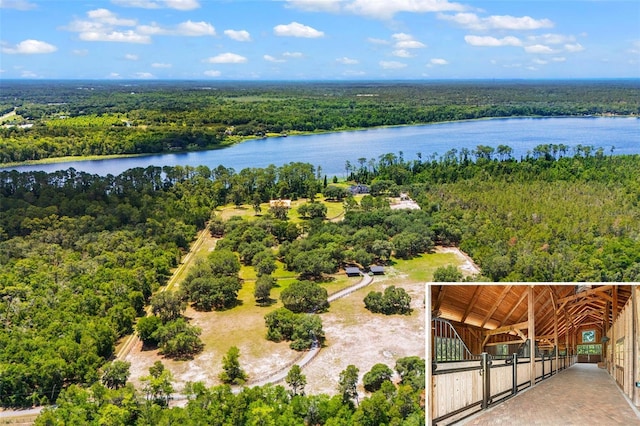 5366 N Lake Farms Rd, De Leon Springs, FL 32130 - drone / aerial view of a heavily wooded area and a nearby body of water