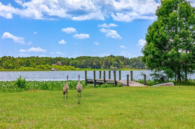 5366 N Lake Farms Rd, De Leon Springs, FL 32130 - dock area with a water view