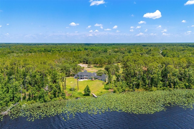 5366 N Lake Farms Rd, De Leon Springs, FL 32130 - view of subject property with a forest