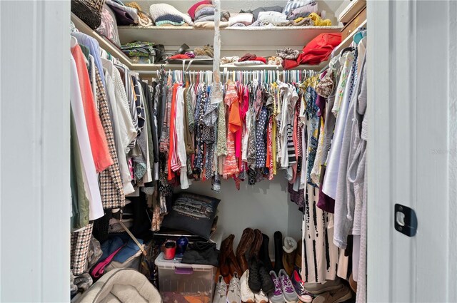 view of walk in closet