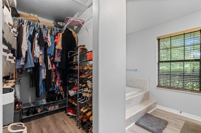 901 Vicksburg St, Deltona, FL 32725 - spacious closet featuring wood finished floors