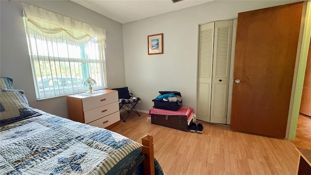 1301 Killian St, Daytona Beach, FL 32114 - bedroom with light wood-style floors and a closet