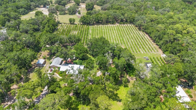 1056 Reynolds Rd, De Leon Springs, FL 32130 - aerial view of property's location featuring abundant farmland and rural landscape