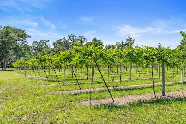 1056 Reynolds Rd, De Leon Springs, FL 32130 - view of yard