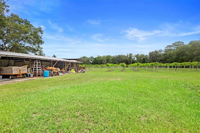 1056 Reynolds Rd, De Leon Springs, FL 32130 - view of green lawn with an outbuilding