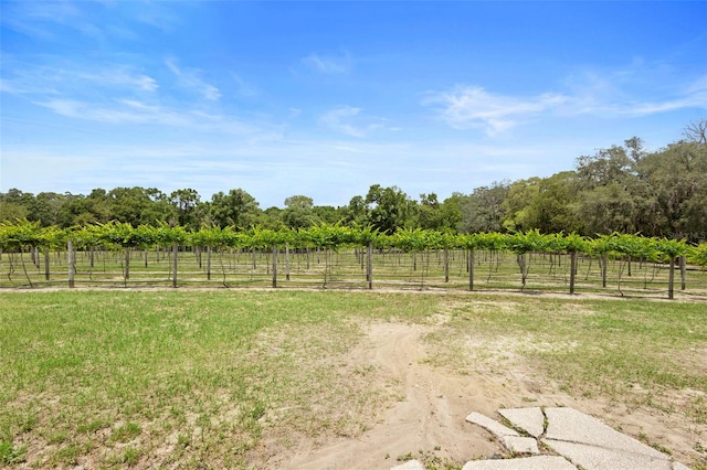 1056 Reynolds Rd, De Leon Springs, FL 32130 - view of yard