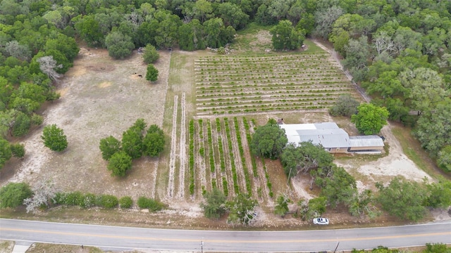 1056 Reynolds Rd, De Leon Springs, FL 32130 - view of property location with farmland and rural landscape