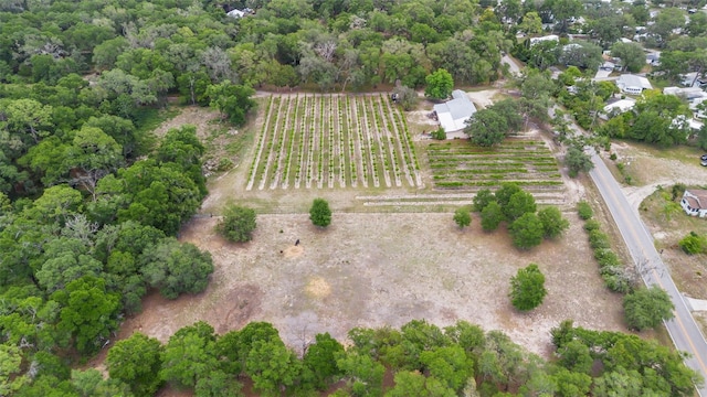 1056 Reynolds Rd, De Leon Springs, FL 32130 - aerial view of property's location with large plots for crops and rural landscape