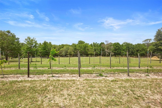 1056 Reynolds Rd, De Leon Springs, FL 32130 - view of yard