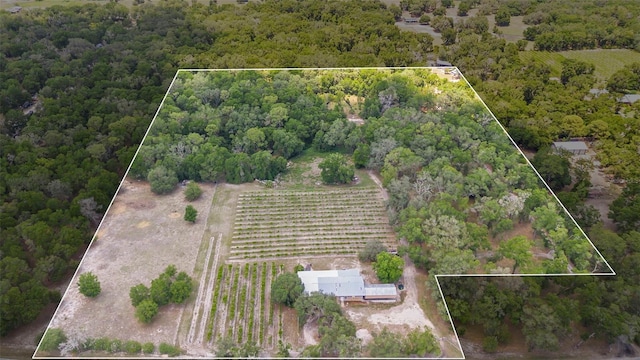 1056 Reynolds Rd, De Leon Springs, FL 32130 - aerial view of property and surrounding area featuring property boundaries highlighted and rural landscape